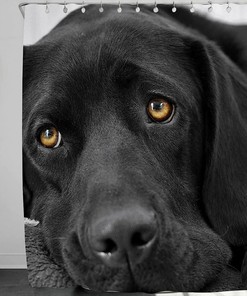 Black Lab Dog Shower Curtain For Pet Lovers' Bathroom
