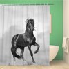 Black Stallion Wild Sunshine Fast Forward Power Sunset Shower Curtain