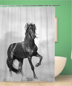 Black Stallion Wild Sunshine Fast Forward Power Sunset Shower Curtain
