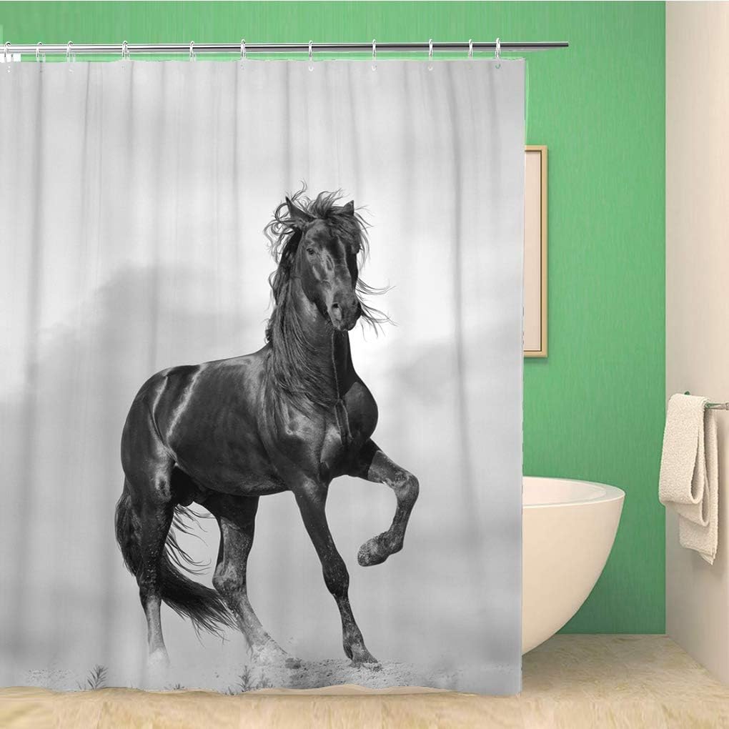 Black Stallion Wild Sunshine Fast Forward Power Sunset Shower Curtain