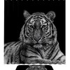 Black Tiger Print Waterproof Shower Curtain for Dramatic Bathroom Decor