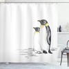 Black White Hand Drawn Art Penguins Aquatic Flightless Birds Shower Curtain