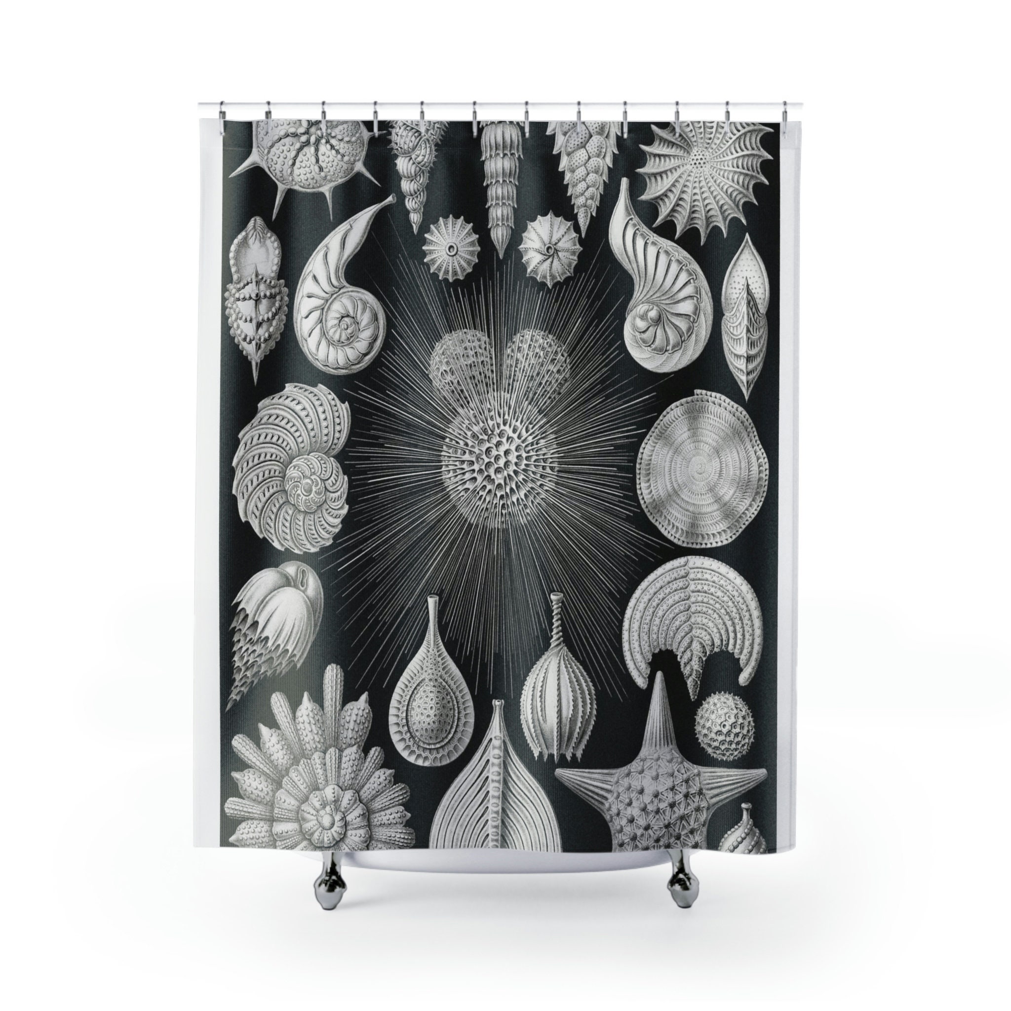 Black and White Seashells Shells Natural Illustration Beach Shower Curtain