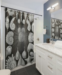 Black and White Seashells Shells Natural Illustration Beach Shower Curtain