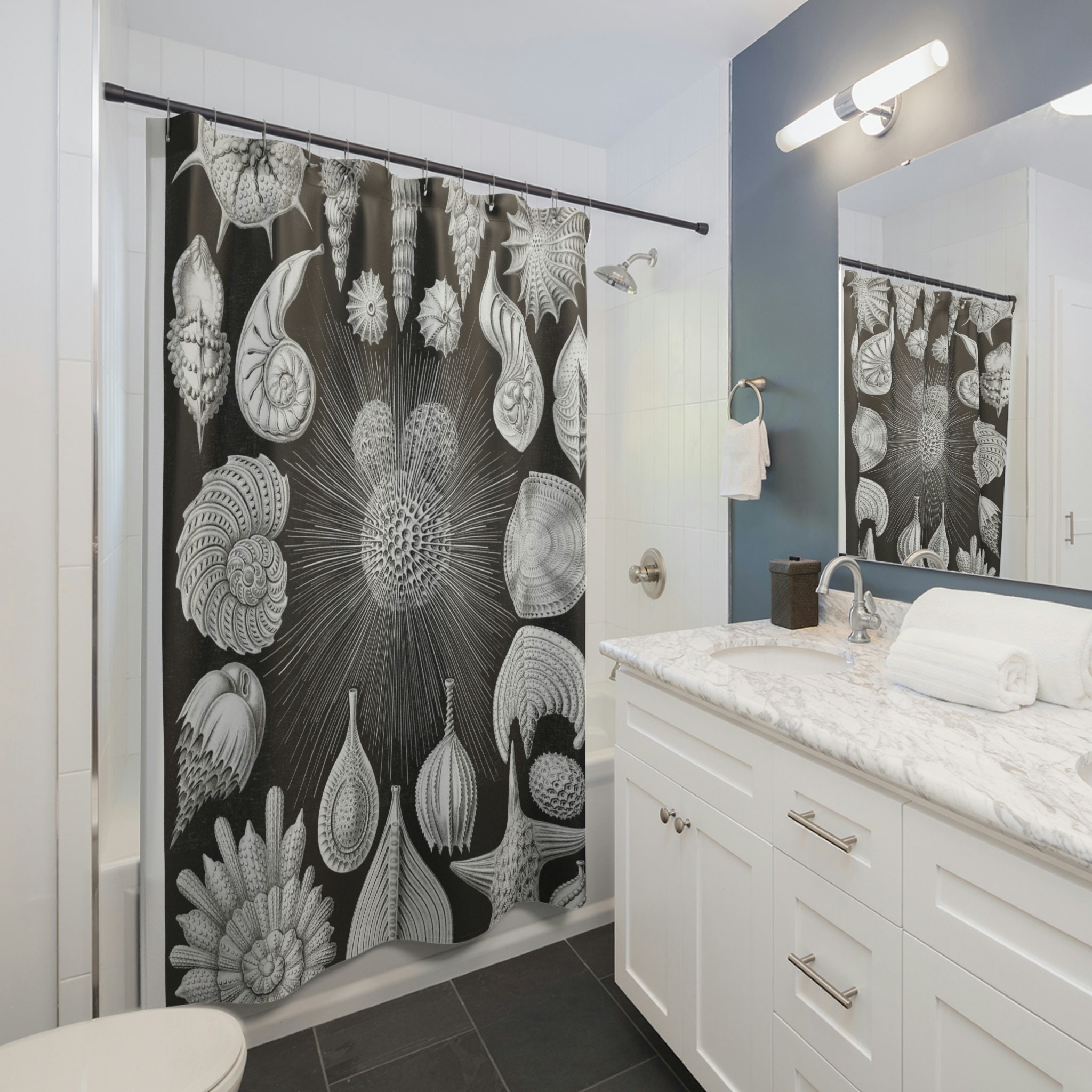 Black and White Seashells Shells Natural Illustration Beach Shower Curtain