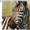 Black and White Zebra Print Fabric Shower Curtain for Bathroom Decor