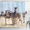 Black and White Zebra Print Shower Curtain for Trendy Bathroom Decor