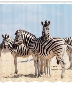 Black and White Zebra Print Shower Curtain for Trendy Bathroom Decor