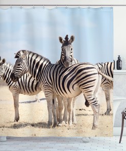 Black and White Zebra Print Shower Curtain for Trendy Bathroom Decor