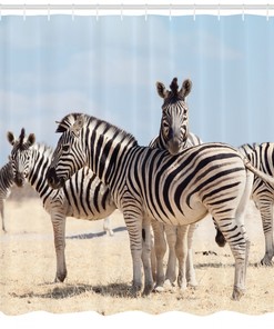 Black and White Zebra Print Shower Curtain for Trendy Bathroom Decor