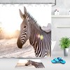 Black and White Zebra Shower Curtain - Wild Animals Bathroom Decor