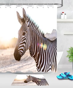Black and White Zebra Shower Curtain - Wild Animals Bathroom Decor