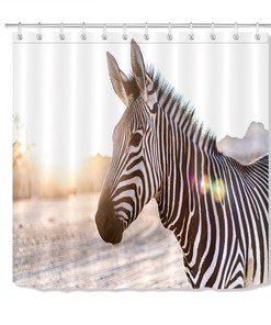 Black and White Zebra Shower Curtain - Wild Animals Bathroom Decor