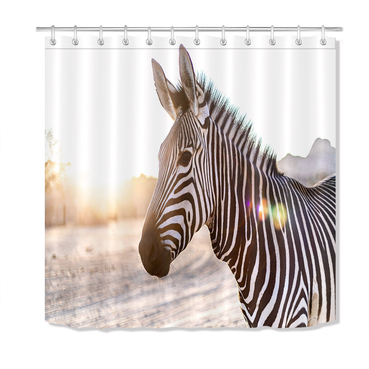 Black and White Zebra Shower Curtain - Wild Animals Bathroom Decor