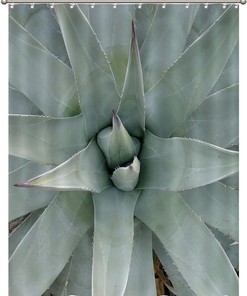 Bloom Flower Shower Curtain | Tropical Plants Succulents Green Cactus Washable Bath Decor