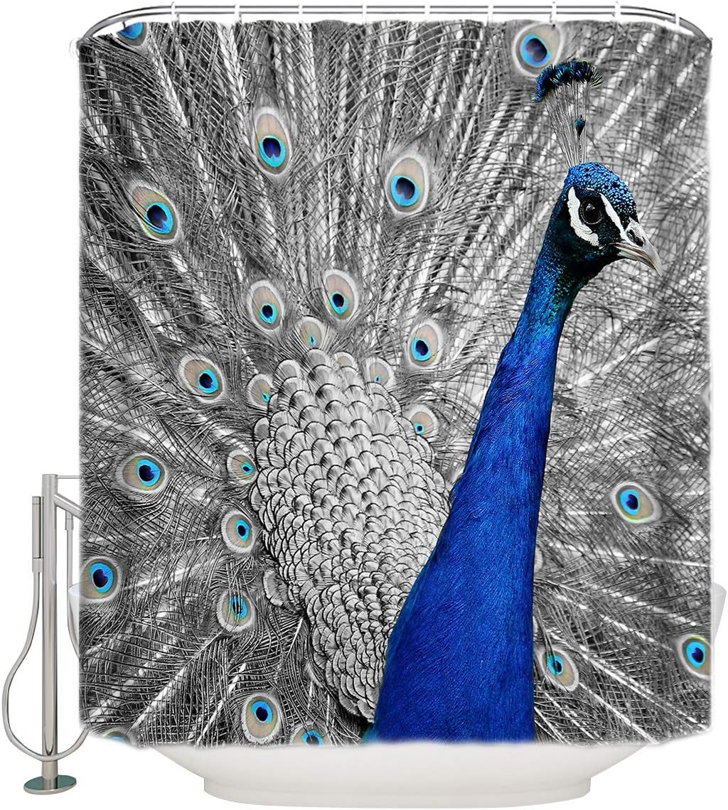 Blue Peacock Beautiful Bird Feathers Print Shower Curtain for Bathroom Decor