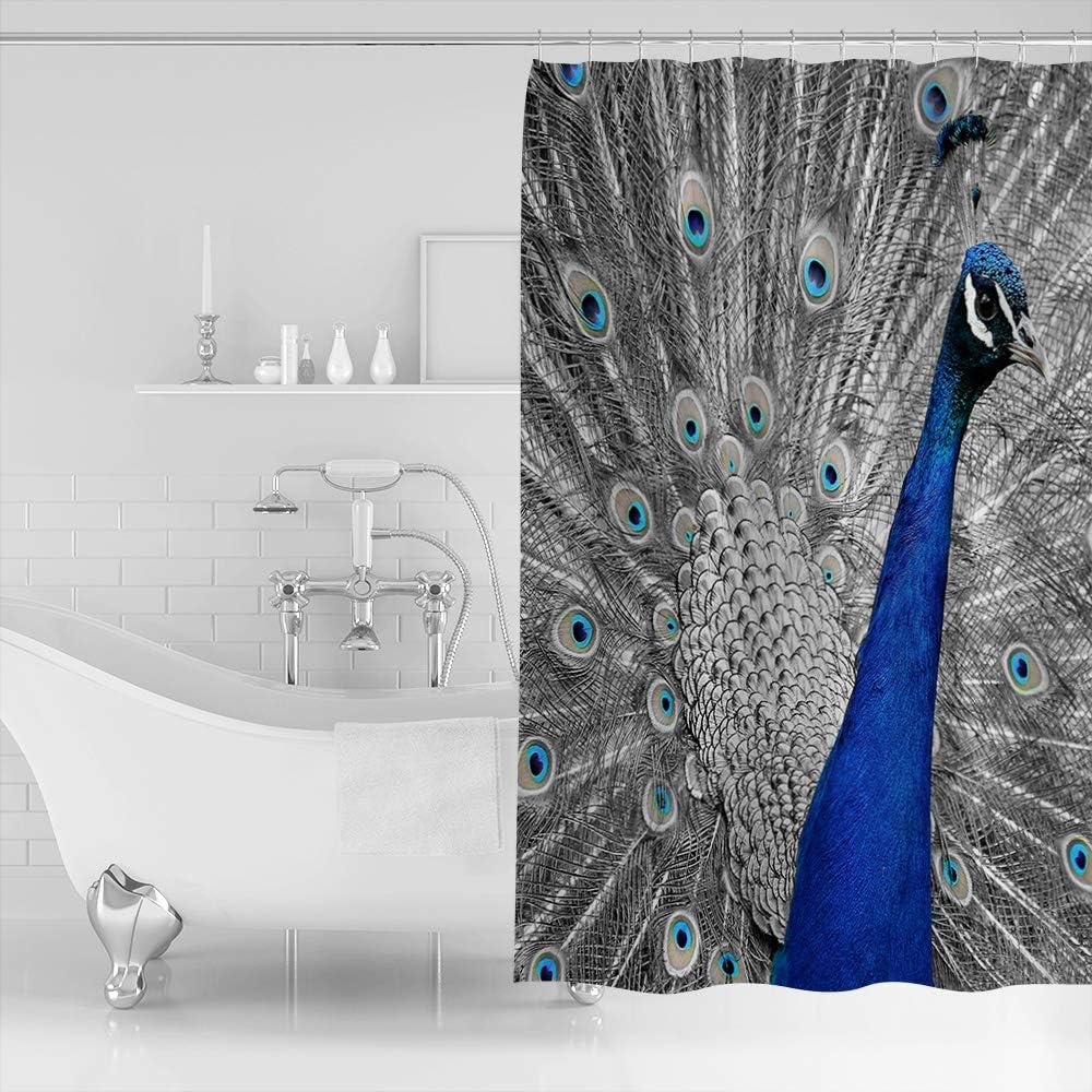 Blue Peacock Beautiful Bird Feathers Print Shower Curtain for Bathroom Decor