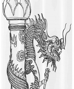 Bold And Dramatic Chinese Creature Dragon Stall Shower Curtain For A Fantastical Bathroom