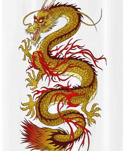 Bold And Fiery Japanese Dragon Stall Shower Curtain For A Dramatic Bathroom