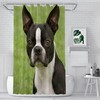Boston Terrier Wildlife Dog White Breed Cute Domestic Design Fabric Bath Shower Curtain