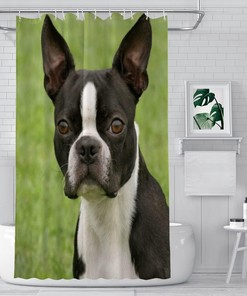 Boston Terrier Wildlife Dog White Breed Cute Domestic Design Fabric Bath Shower Curtain