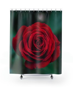 Botanical Floral Red Rose Shower Curtain for a Touch of Elegance