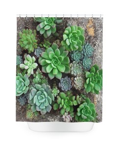 Botanical Shower Curtain, AI Art Print, Modern Bathroom Decor, Stunning Succulent Pattern