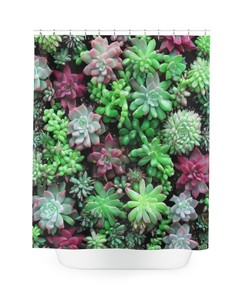 Botanical Shower Curtain in Abstract Art with Succulent AI Art Print for Modern Bathroom Decor