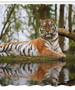 Bring Warmth to Your Bathroom with Siberian Mammal Tiger Shower Curtain