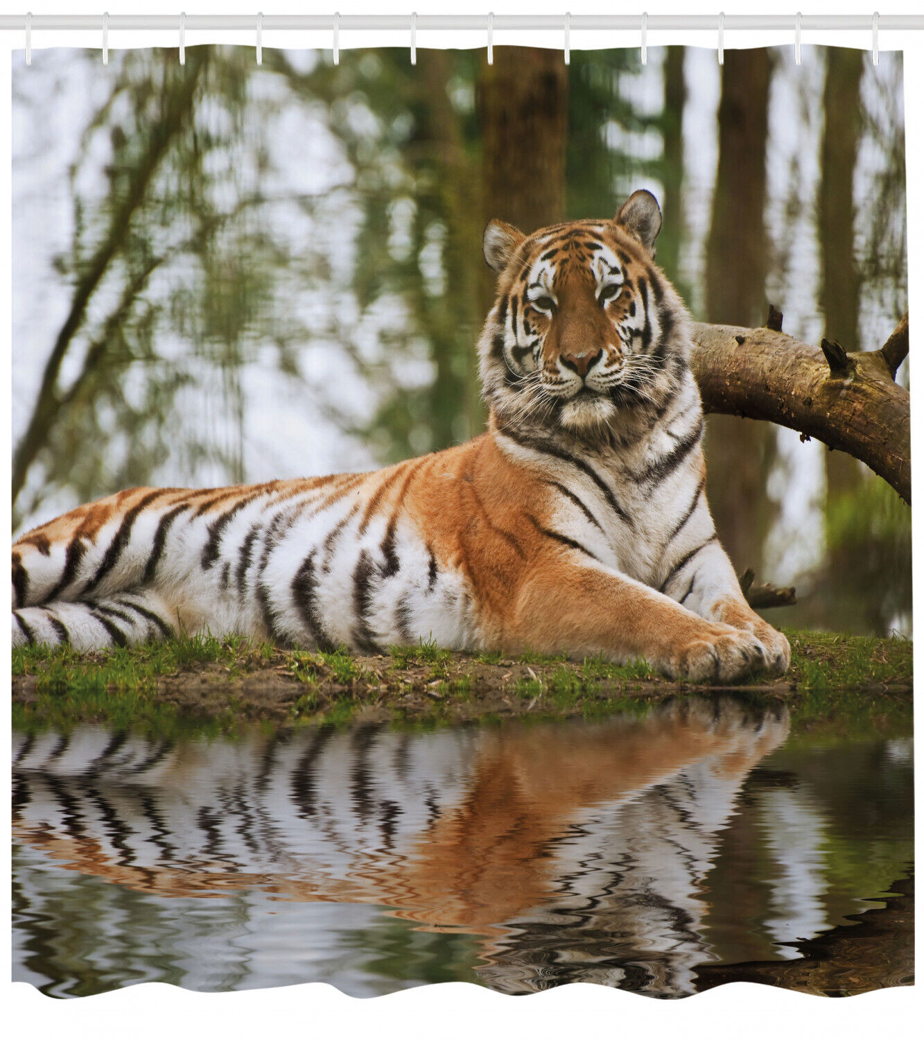 Bring Warmth to Your Bathroom with Siberian Mammal Tiger Shower Curtain