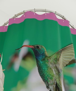 Broad-billed Hummingbird Shower Curtain - Exotic Bird Bathroom Decor
