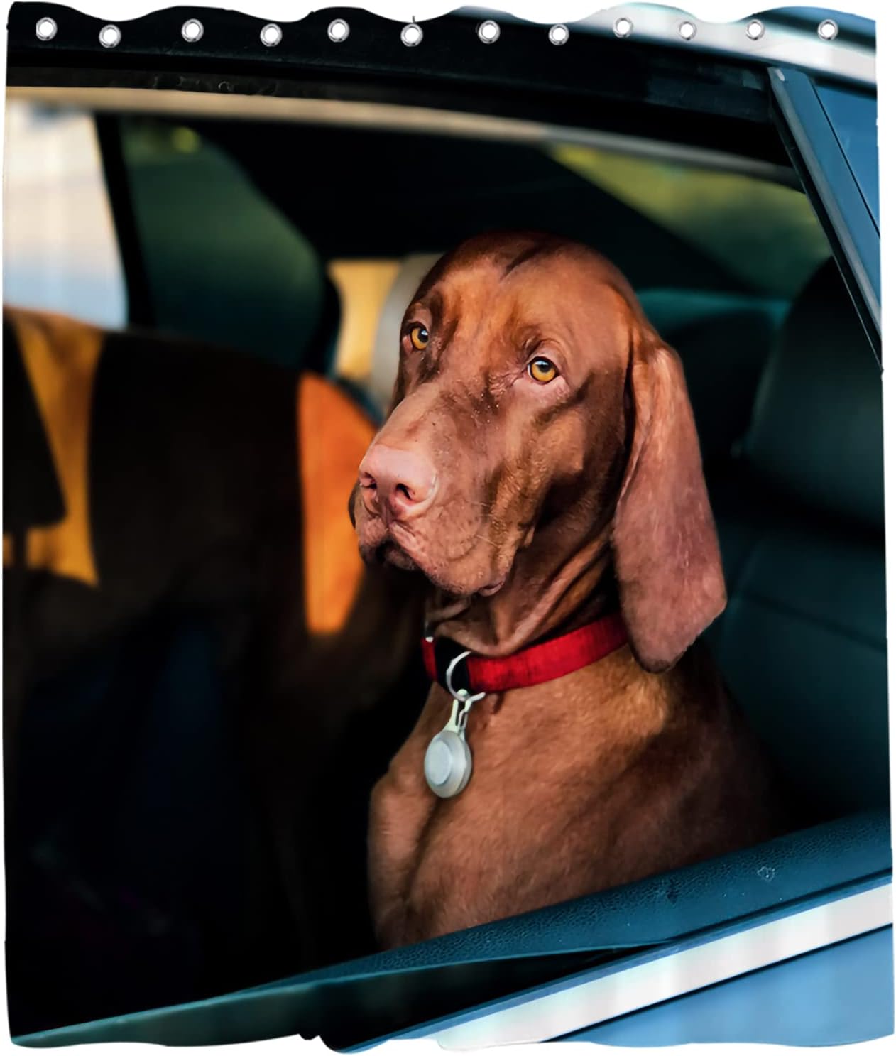 Brown Funny Dog Shower Curtain - Dog Sits in Car Theme - Waterproof Washable Bathroom Decor
