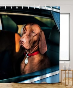 Brown Funny Dog Shower Curtain - Dog Sits in Car Theme - Waterproof Washable Bathroom Decor