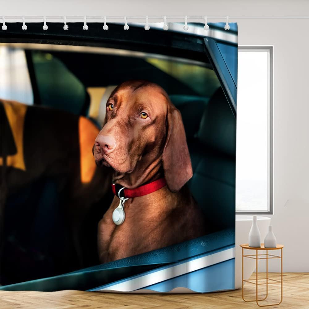 Brown Funny Dog Shower Curtain - Dog Sits in Car Theme - Waterproof Washable Bathroom Decor