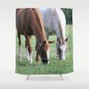 Brown Green Bath Curtain Horse With Designer Accessories For Bathroom