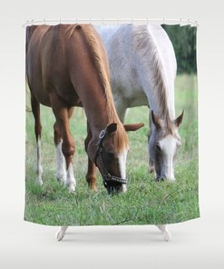 Brown Green Bath Curtain Horse With Designer Accessories For Bathroom