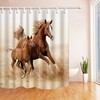 Brown Horse Animal Decor Fabric Bathroom Shower Curtain