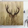 Brown Sand Brown Whitetail Deer Shower Curtain, Fawn In Wilderness Stag In Countryside Rural Hunting Theme,