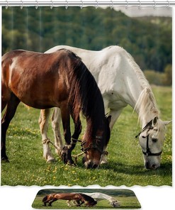Brown White Horse Shower Curtain Mat For Bathroom Decor