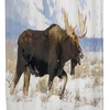 Bull Moose Male in Autumn Colored Plants Mearklwd Fabric Waterproof Shower Curtain for Your Bathroom
