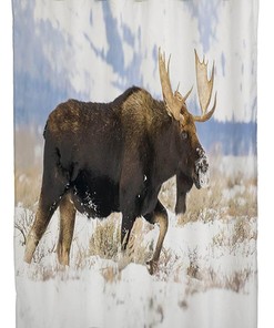 Bull Moose Male in Autumn Colored Plants Mearklwd Fabric Waterproof Shower Curtain for Your Bathroom