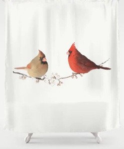 Cardinal Birds Pattern Decorative Shower Curtain Set for Your Bathroom