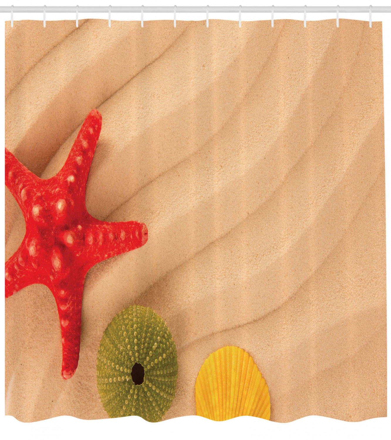 Caribbean Beach Themed Shower Curtain Waterproof Fabric with Sea Shell and Urchin Print for Bathroom