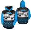 Carolina Panthers Hoodie, Perfect Gifts For Fans With Stunning 3D Graphic Balls Zip Hoodie Pullover 