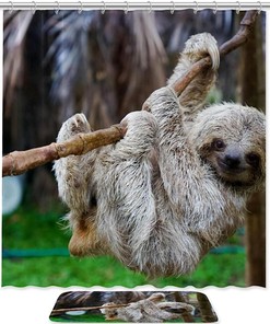 Cartoon Sloth Bathroom Shower Curtain, Adorable and Quirky Bathroom Decor
