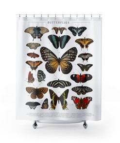 Catalog Butterfly Species Shower Curtain For Bathroom Decor