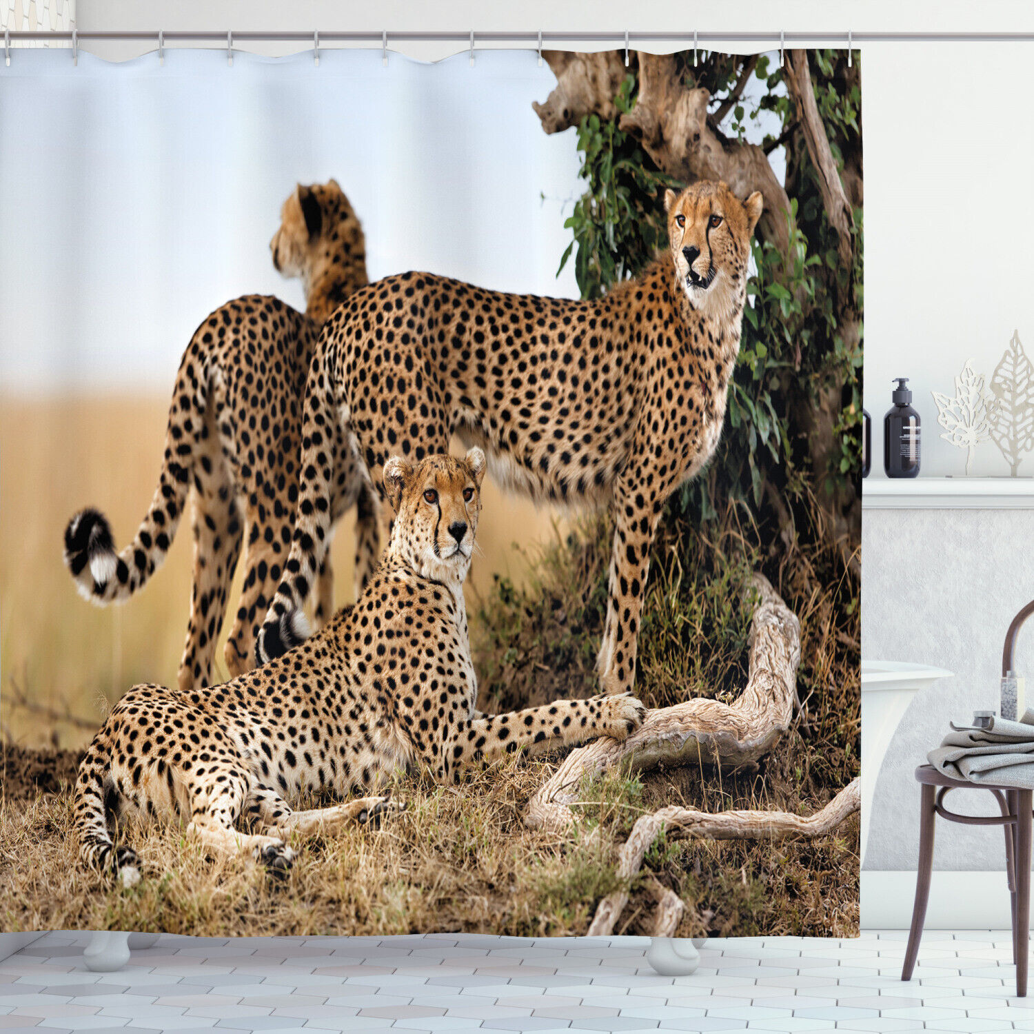Cheetahs Print Shower Curtain - Safari Animal Bathroom Decor
