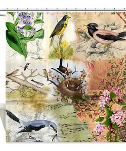 Chic Shower Curtain Featuring Collage Of Botanical And Birds For Bathroom Decor
