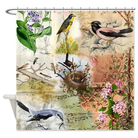 Chic Shower Curtain Featuring Collage Of Botanical And Birds For Bathroom Decor