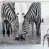 Chic Zebra Print Shower Curtain for Modern Bathroom Style